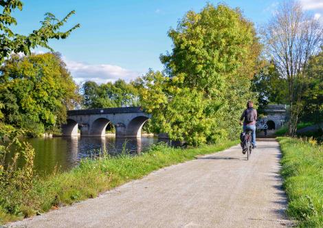 Votez pour la Mayenne aux "D d'or du Public 2023" !