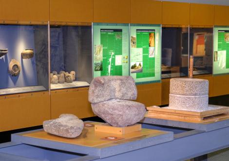 Conservation départementale des musées