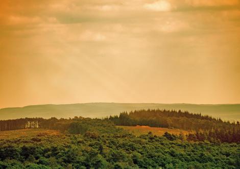 Sur les pentes du Mont des Avaloirs