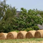 Aide pour la transformation et la commercialisation de produits agricoles à la ferme