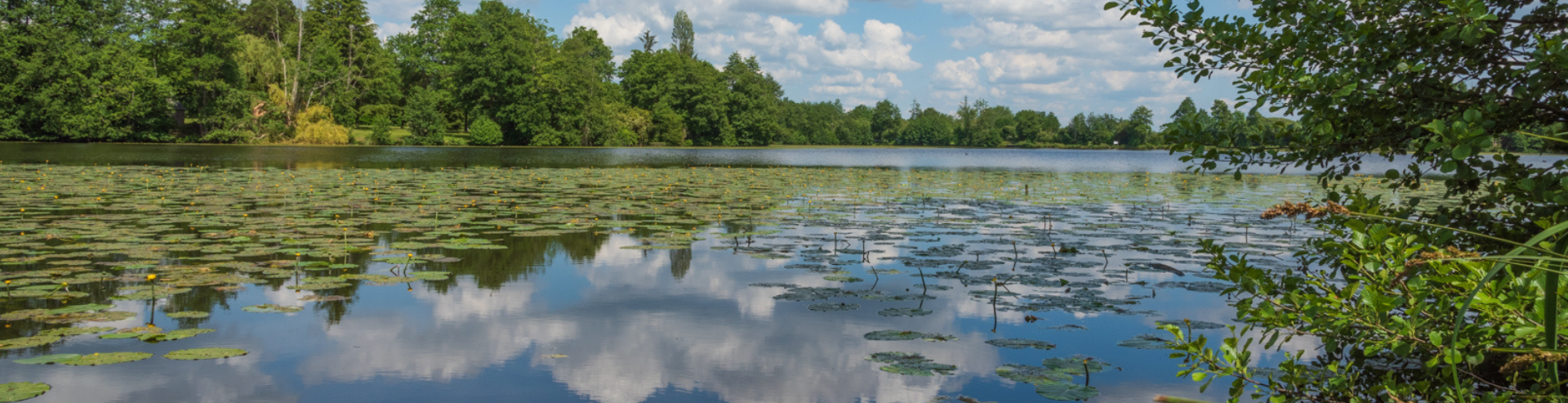 Aide à la gestion des espaces naturels sensibles