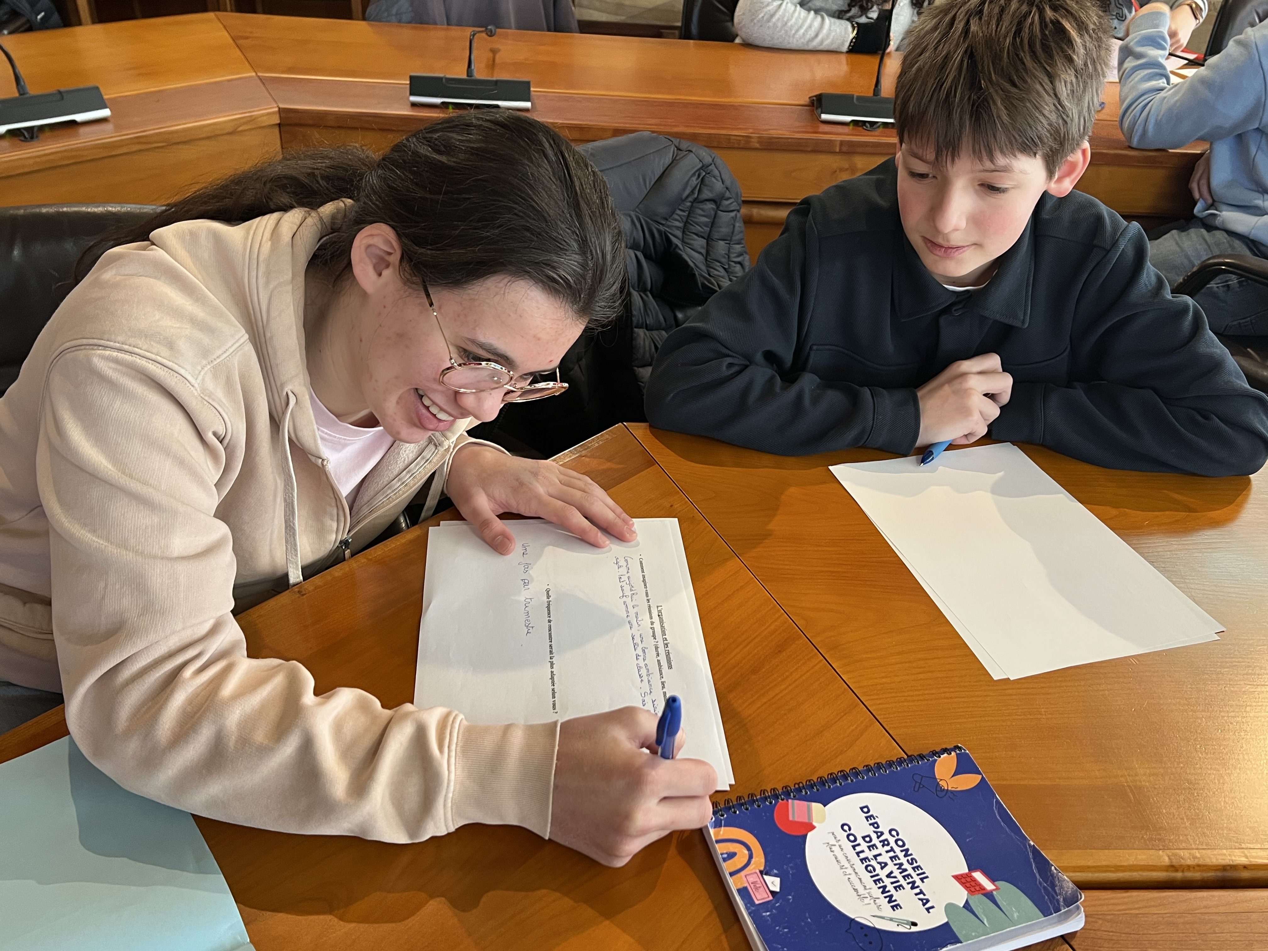 Conseil Départemental de la Vie Collégienne
